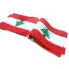 Ceclflag Lebanese String Flag Banner, 16 ft 20 Mini Flags,