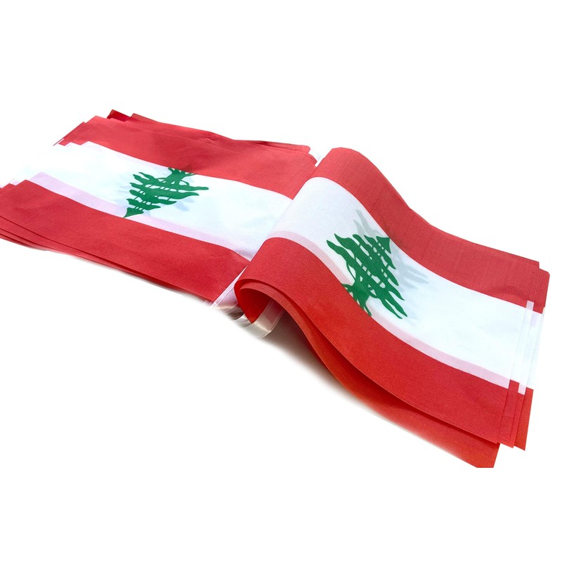 Ceclflag Lebanese String Flag Banner, 16 ft 20 Mini Flags,