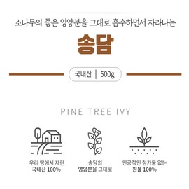 Domestic Songdam 500mg Songdam Effects / 국내산 송담 500mg 송담효능