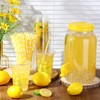 FillTouch 302 Pcs Lemonade Stand Supplies Kits Include 2 Pcs