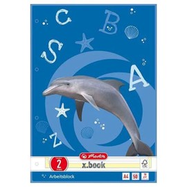 Herlitz 215020 X. Book, DIN A4, Lineatur 2