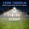 Ceena 2 Pack 120W Plug in LED Flood Light Outdoor,