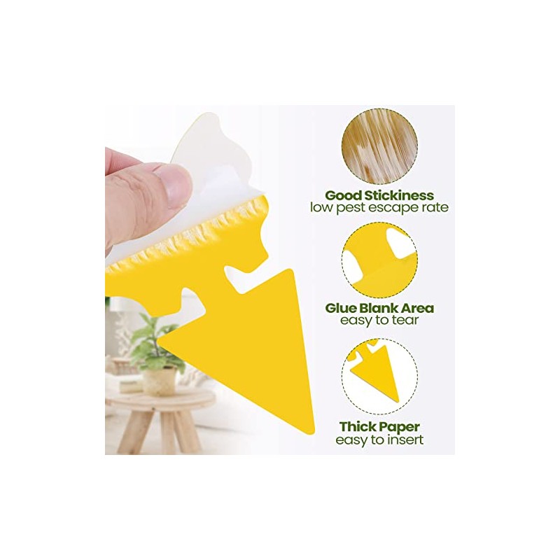 200 Sticky Traps for Fruit Flies and Gnats - Indoor