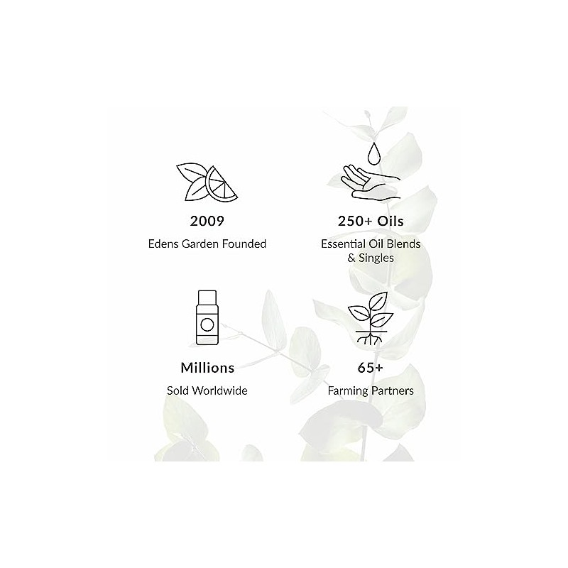 Aceite esencial 100% puro grado Terapéutico de pachuli, 10 ml