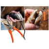 Hoof Trimmer, Multiuse Garden Pruning Shears Goat Nail Footrot Trimming