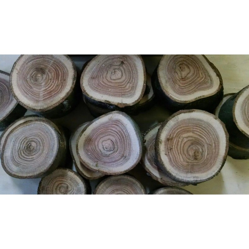 Red Oak Wood Chunks/Slices for BBQ/Grilling/W