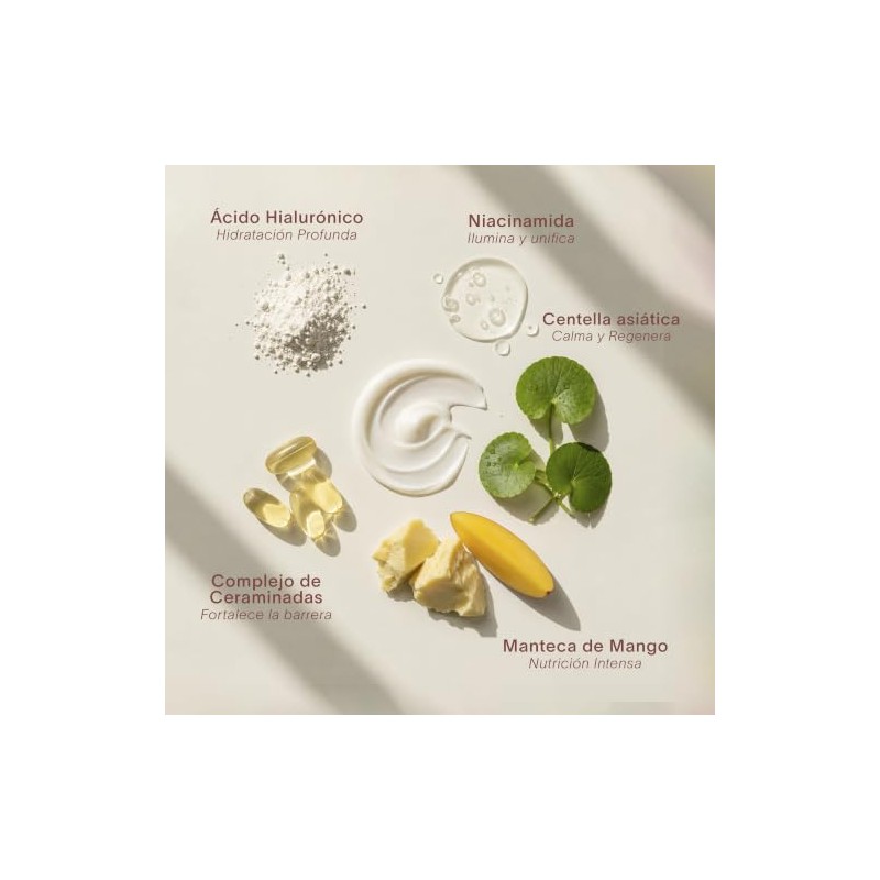 Crema de Día Daily Glow - Hidratación Nutritiva con Ácido