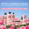 Shampoo Suavidad Rosa Mosqueta Herbal Essences para más brillo y