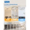 Passky 19.7” Low Profile Ceiling Fan with Lights and Remote,