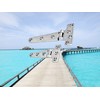 2 Pcs Marine Grade Stainless Steel 316 T-Shape Deck Closet