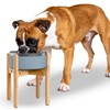 Dog Bowl Stand for Large Dogs (See Size Guide) -