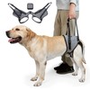 CNEO Dog Lift Harness, Dog Sling for Medium Large Dogs,