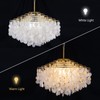 TOCHIC Capiz Shell Chandelier, 6 Lights Gold Coastal Chandelier Light