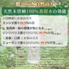 Kiso Cypress Toothpaste Gel, Includes 5 Floss Picks, 99.9% Disinfected,