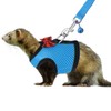 Rypet Small Animal Harness and Leash - Soft Mesh Small