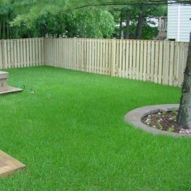 SeedRanch Argentine Bahia Grass Seeds -  2 Lbs.