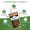 On The Waterfront Herbal Tea - Supports Hydration & Wellness,