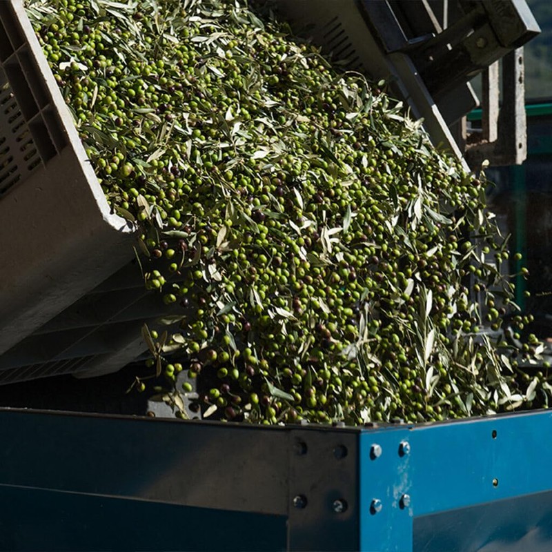 Marfuga Marfuga L'affiorante Extra Virgin Olive Oil 2019