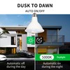 Qualilux Dusk to Dawn PAR38 LED Light Bulbs, Daylight 5000K,