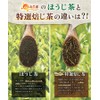 Warm Farm Japanese Special Roasted Tea Bags 0.1 oz (3
