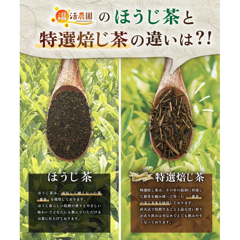 Warm Farm Japanese Special Roasted Tea Bags 0.1 oz (3