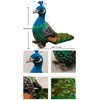 Xshelley 25 cm Realistic Peacock Plush Toy,Cute Peacock Stuffed Animal