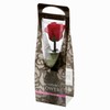 FlowerEver FL00072-005 Preserved Flower, Short Stem Rose, Cherry Red, Approx.