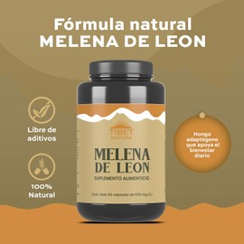 TIBET NATURA - Melena de León - 90 Cápsulas de 500 mg c/u - Hongos Adaptógenos - Suplemento Alimenticio Natural - Sin Azúcar Ni Conservantes