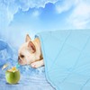 DELIFUR Dog Cooling Blanket - Lightweight Dog Self Cooling Mat