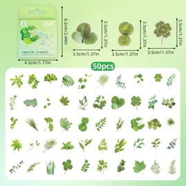 50PCS Green Leaves Mini Boxes Stickers,Green Leaves Theme Stickers for Scrapbooking, DIY Crafts, Laptops,Journal,Gifts for Kids Teens Girls Adults