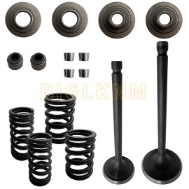 JINFANNIBI Cylinder Head Intake & Exhaust Valve Seals Kit for Yamaha Warrior 350 YFM350X