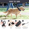 Duckygoo No Pull Dog Training Collar - Adjustable Martingale Slip
