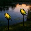 YZYOE Solar Powered Lotus Leaf Frog Light, Garden Decoration Resin