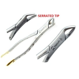 Premium German Gold Dental Extracting Extraction Forceps #151-Lower Bicuspid, Lower Incisor, Lower Root, Universal Dental Instruments-Cynmed