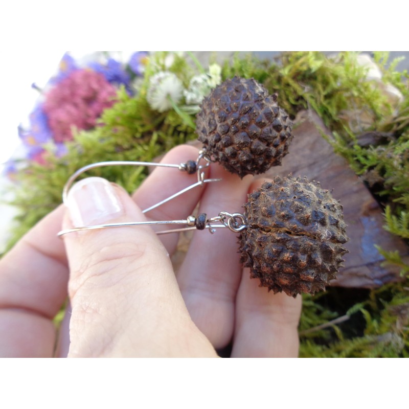 ⊱✿ EXOTISCHE BAUMNUSS OHRRINGE IN DUNKELBRAUN✿⊰⊹ lange Kidney - Haken
