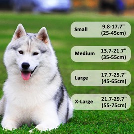 LOS ANDES Dog Choke Collar Martingale Collar with Limited Chain Strong Nylon Collar with Soft Padded No Pull Reflective Training Collar for Large, Medium and Small Dogs(S:Neck 25-45cm,Orange)