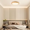 Modern Flush Mount Ceiling Light 11.8 Inch, LED Ceiling Light