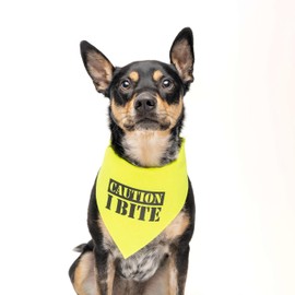 Caution I Bite Dog Bandana (Neon Green, OS 836)