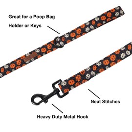 Lionet Paws Dog Leash Matching Pumpkin Dog Collar for Small Medium Large Dog