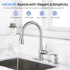 GAGALIFE Kitchen Sink Soap Dispenser - Brushed Nickel Sink Soap