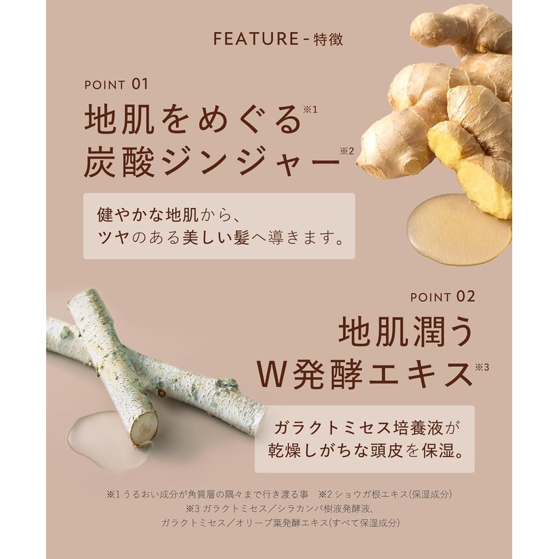 [New Model] BOTANIST ROOTH Aging Care Shampoo Treatment Set Straight