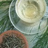 Horsetail Tea Horsetail Tea 100% Herbal Tea Tea Tea Health
