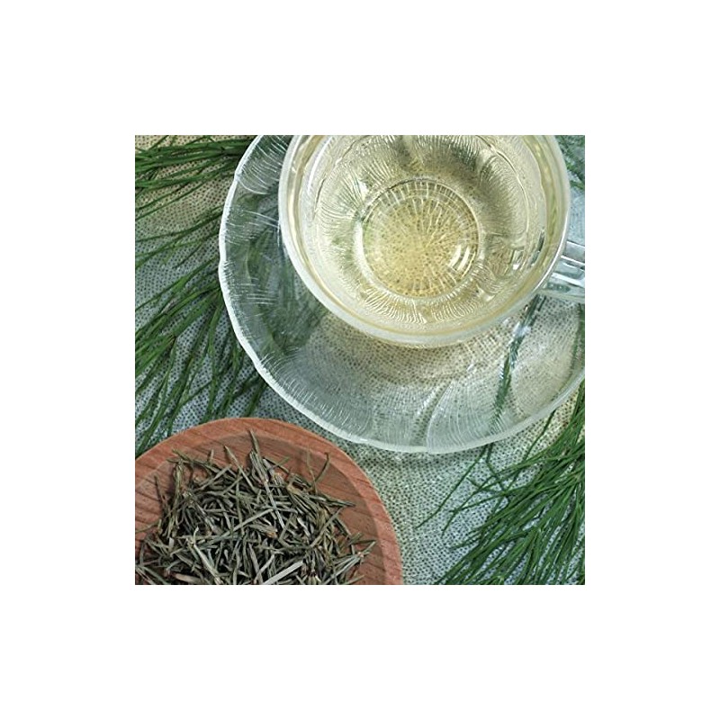 Horsetail Tea Horsetail Tea 100% Herbal Tea Tea Tea Health