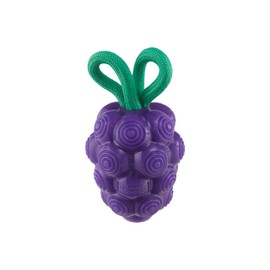 Outward Hound Dental Grapes Dental Chew Toy and Interactive Treat Stuffer Durable Dog Toy Stuffable Dog Toy, Medium, Purple