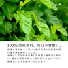 Chatsumi no Sato Japanese Mulberry Leaf Tea Bag 0.1 oz