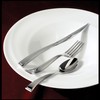 Fortessa Pantheon 18/10 Stainless Steel Flatware Table Fork, Set of