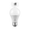 Globe Electric 31448 60W Equivalent Warm White (3000K) A19 Motion