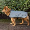 Proviz Reflect360 Fleece Lined Dog Coat, Silver, Large