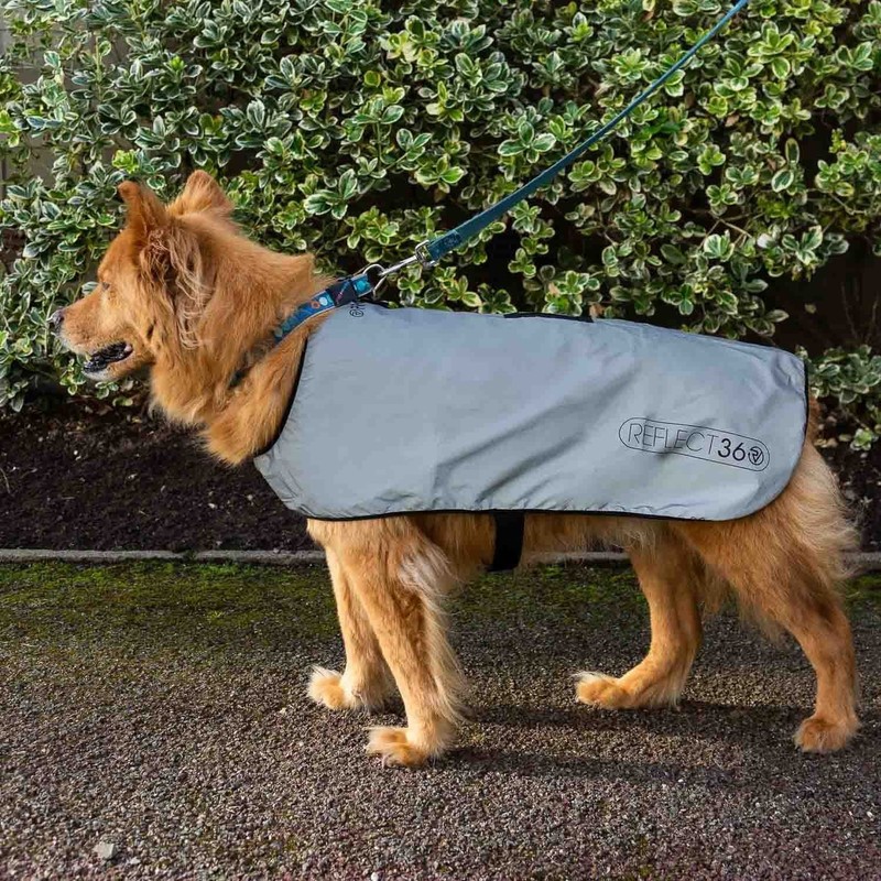 Proviz Reflect360 Fleece Lined Dog Coat, Silver, Large