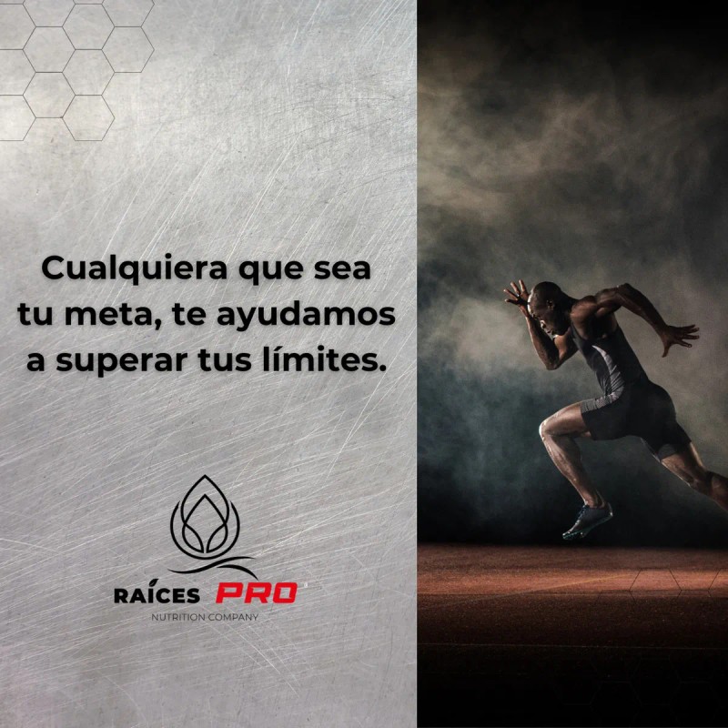 L Carnitina Super Premium 100 Cápsulas Raíces Pro Sabor Sin